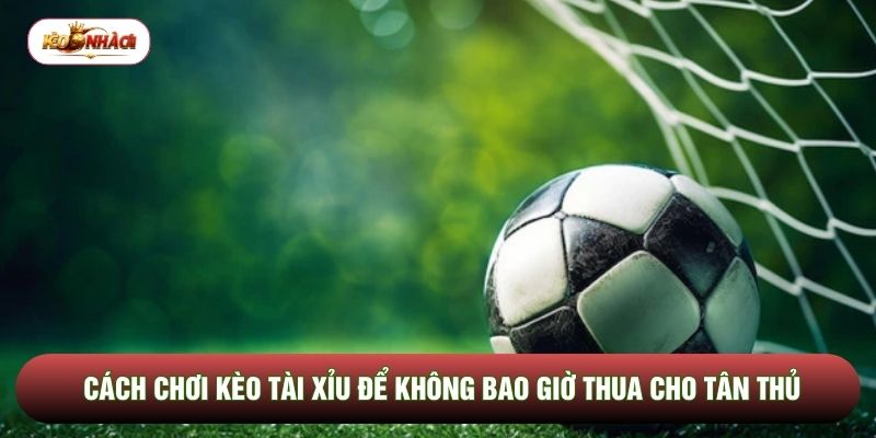 Cách Chơi Kèo Tài Xỉu Để Không Bao Giờ Thua Cho Tân Thủ