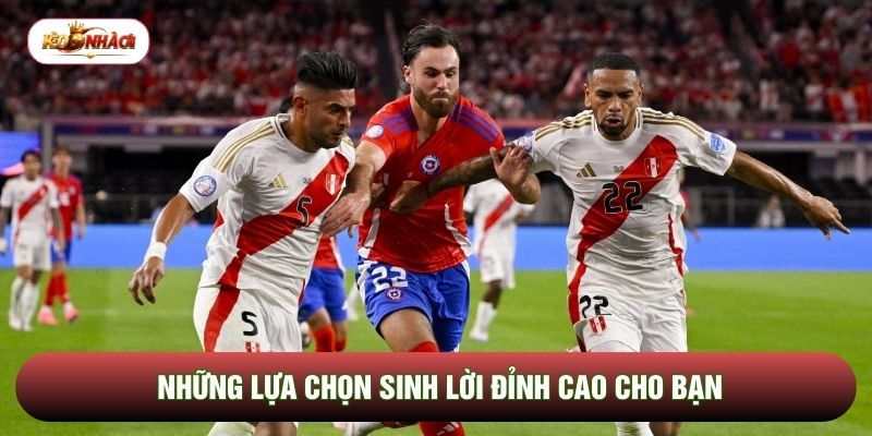 Những lựa chọn sinh lời đỉnh cao cho bạn