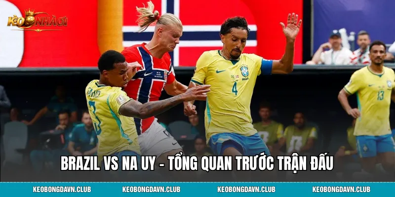 Brazil vs Na Uy – Tổng quan trước trận đấu