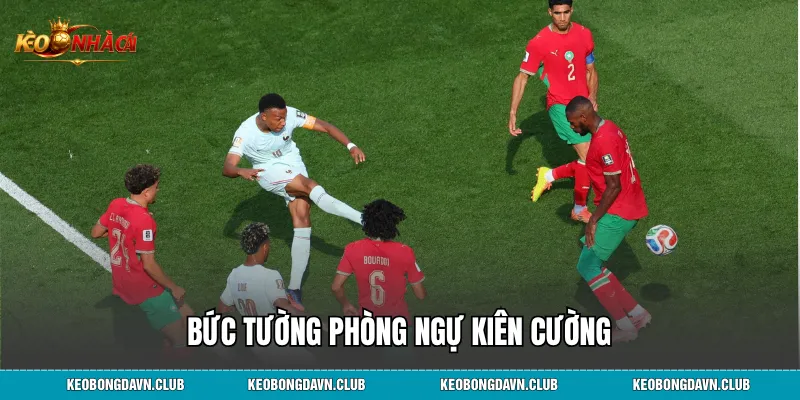 Bức tường phòng ngự kiên cường