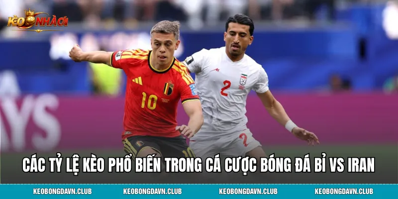 Phân tích các tỷ lệ kèo phổ biến trong cá cược bóng đá Bỉ vs Iran