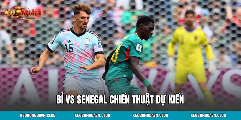 Bỉ vs Senegal chiến thuật dự kiến