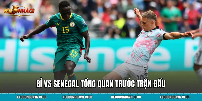 Bỉ vs Senegal tổng quan trước trận đấu