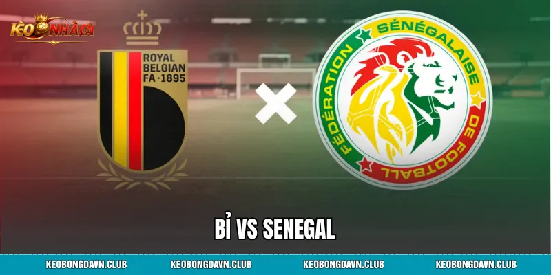 Bỉ vs Senegal - Nhận Định Phong Độ Và Dự Đoán Kết Quả