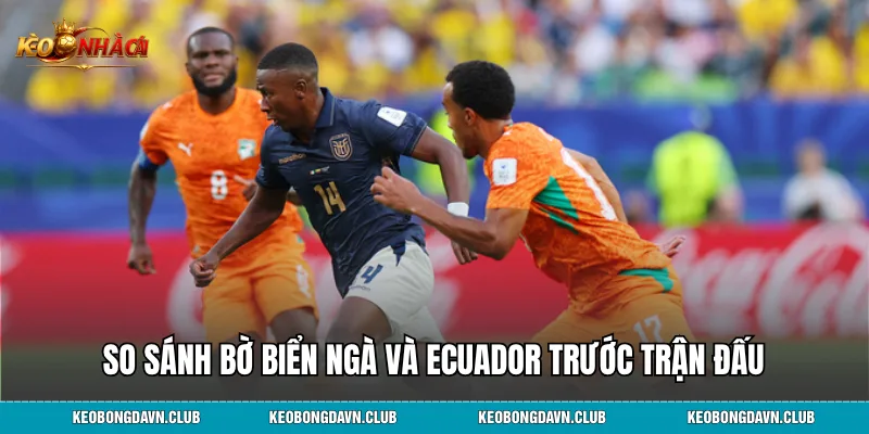 So sánh Bờ Biển Ngà và Ecuador trước trận đấu