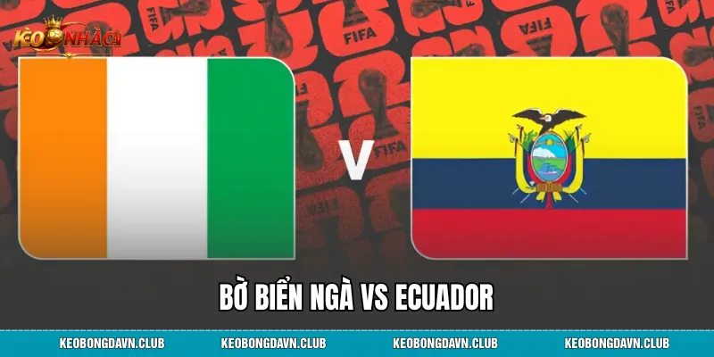 Bờ Biển Ngà vs Ecuador Trận Hùng Biện Đỉnh Cao Tại World Cup 2026
