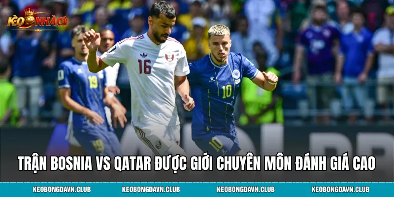 Trận Bosnia vs Qatar được giới chuyên môn đánh giá cao