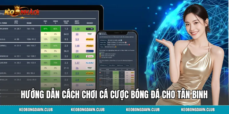 Hướng dẫn cách chơi cá cược bóng đá cho tân binh