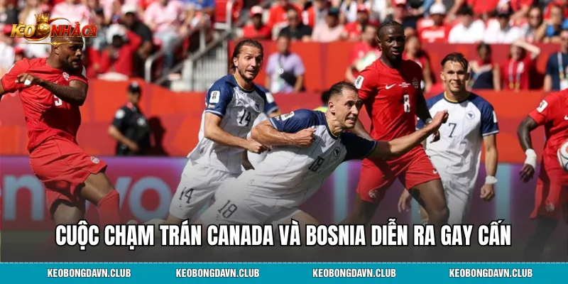 Cuộc chạm trán Canada và Bosnia diễn ra gay cấn