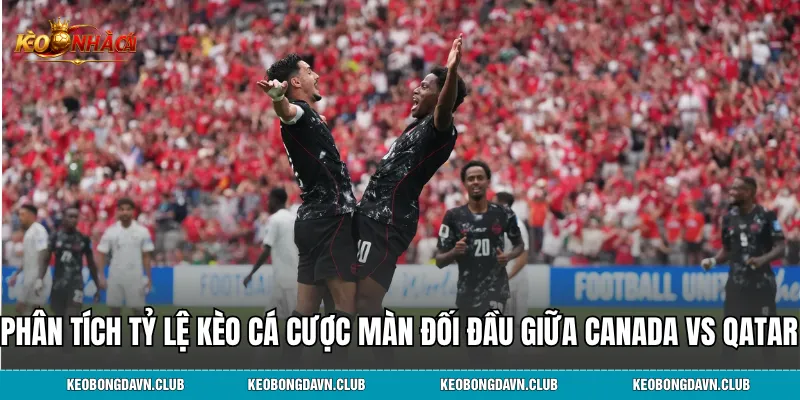 Phân tích các tỷ lệ kèo cá cược màn đối đầu giữa Canada vs Qatar