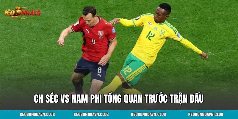 CH Séc vs Nam Phi tổng quan trước trận đấu