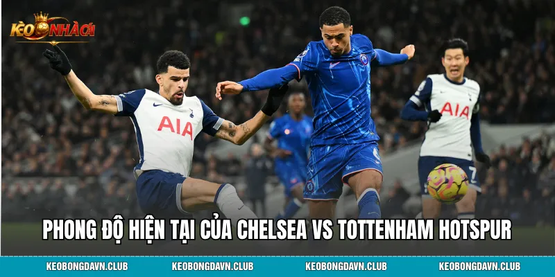 Phân tích phong độ hiện tại của Chelsea vs Tottenham Hotspur