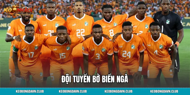 Đội tuyển Bờ Biển Ngà - Sức Mạnh Bóng Đá Châu Phi