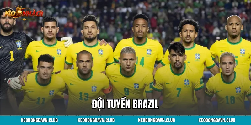 Đội tuyển Brazil - Hành Trình Khẳng Định Vị Thế Huyền Thoại