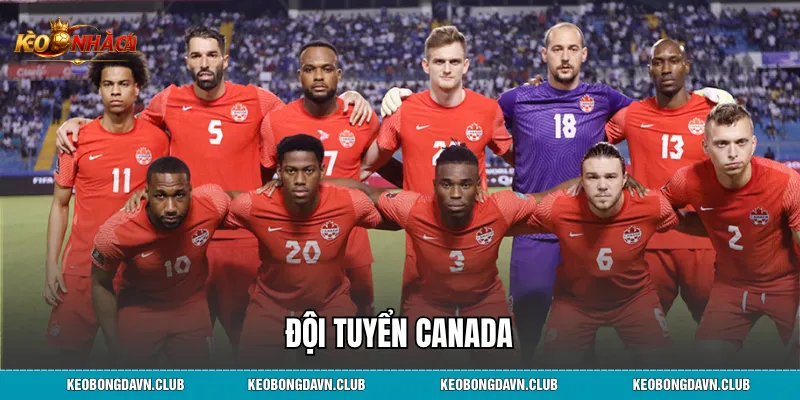 Đội Tuyển Canada: Hành Trình Vươn Mình Và Vị Thế Mới Trên Bản Đồ Bóng Đá Thế Giới