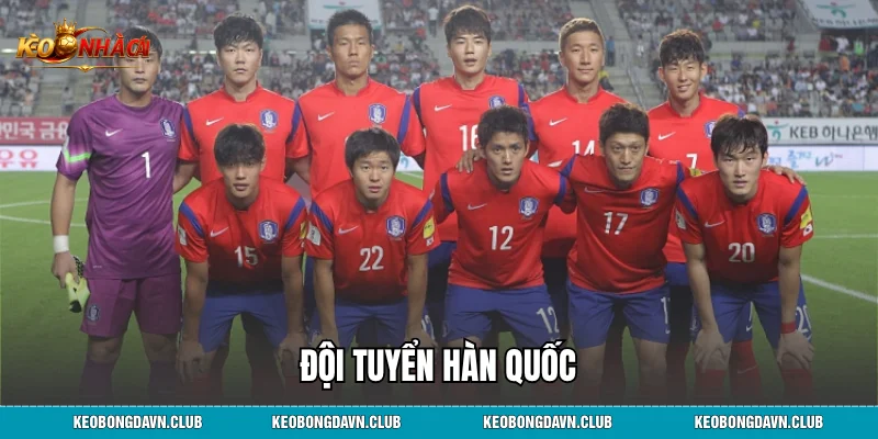 Đội Tuyển Hàn Quốc: Hành Trình Khẳng Định Vị Thế "Mãnh Hổ Châu Á"