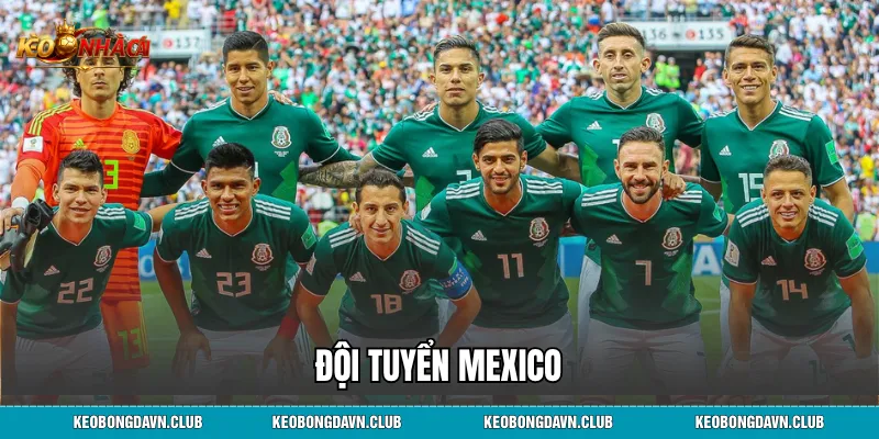 Đội Tuyển Mexico - Lịch Sử, Thành Tích Và Vị Thế Anh Cả Vùng CONCACAF