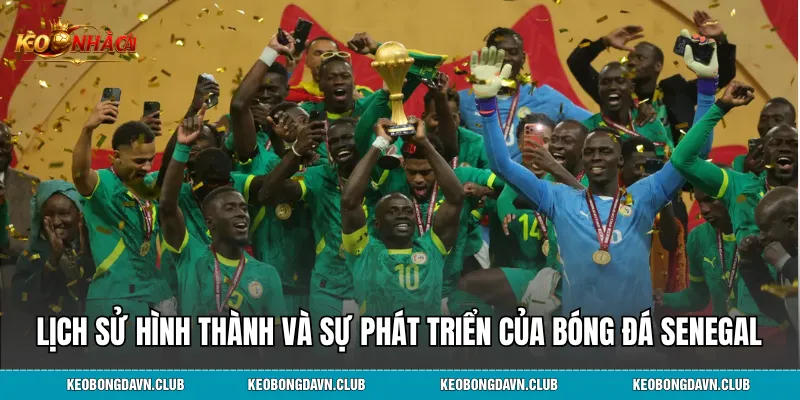 Lịch sử hình thành và sự phát triển của bóng đá Senegal