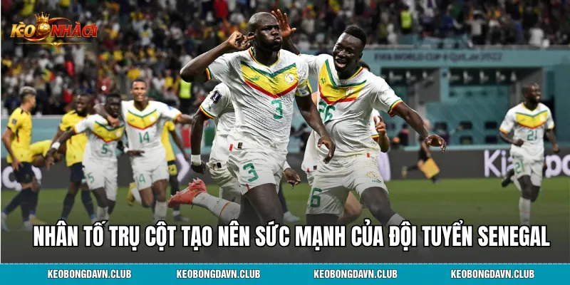 Những nhân tố trụ cột tạo nên sức mạnh của đội tuyển Senegal