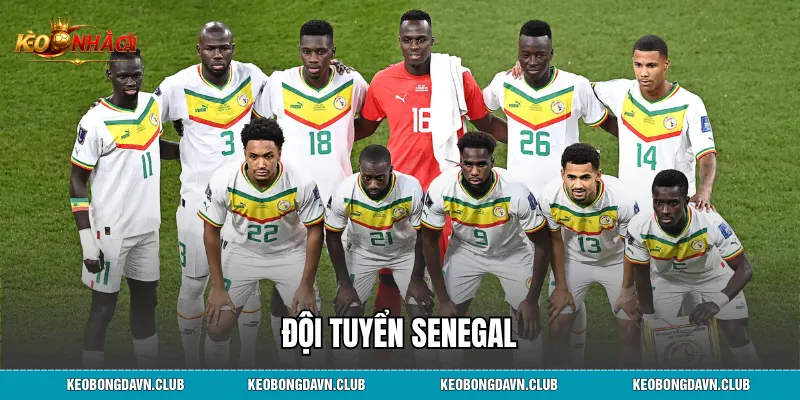 Đội Tuyển Senegal - Hành Trình Khẳng Định Sức Mạnh Bóng Đá