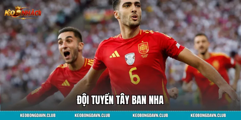 Đội Tuyển Tây Ban Nha: Hành Trình Khẳng Định Vị Thế Đỉnh Cao Thế Giới