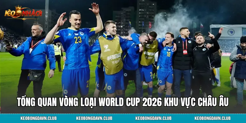Tổng quan chiến dịch vòng loại World Cup 2026 khu vực châu Âu