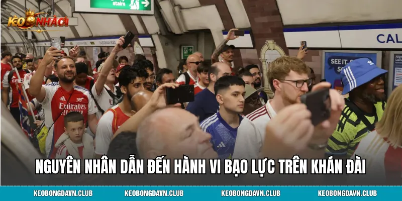 Nguyên nhân dẫn đến hành vi bạo lực trên khán đài