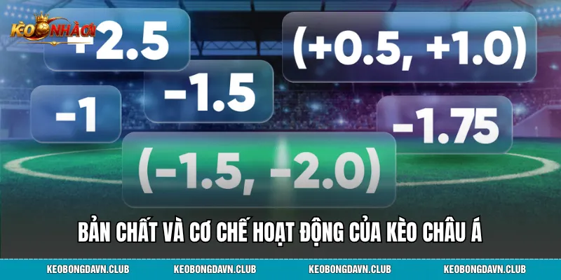 Bản chất và cơ chế hoạt động của kèo châu Á
