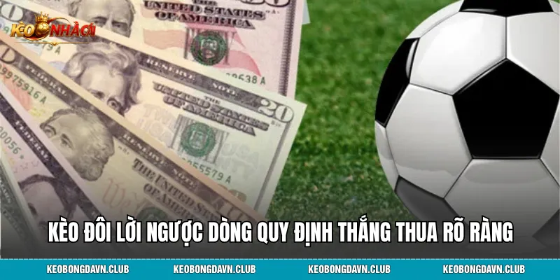 Kèo đôi lời ngược dòng quy định thắng thua rõ ràng
