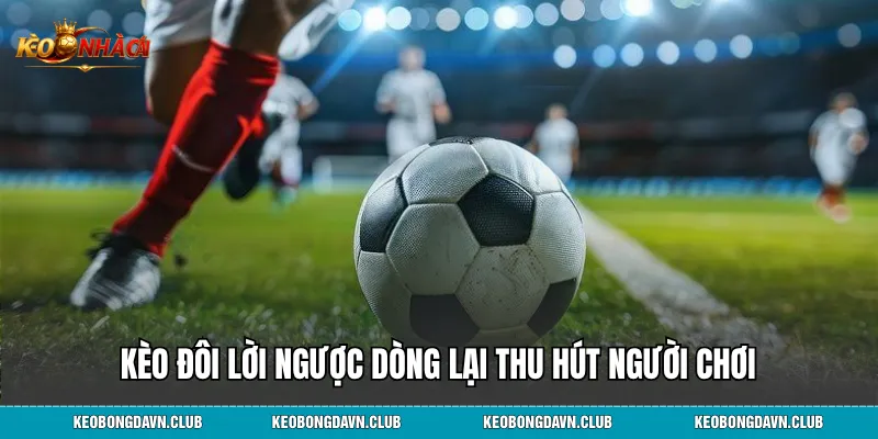 Kèo đôi lời ngược dòng lại thu hút người chơi