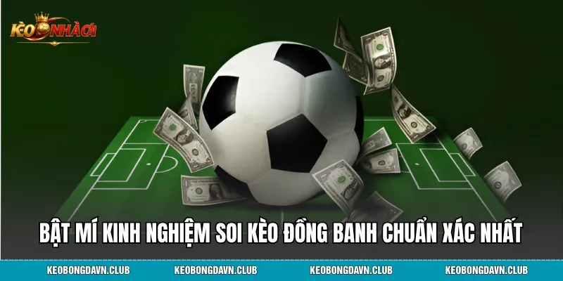 Bật mí kinh nghiệm soi kèo đồng banh chuẩn xác