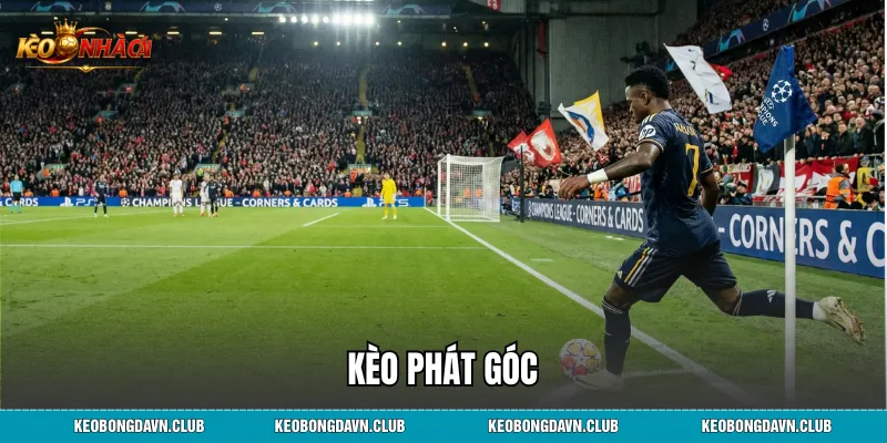Kèo Phạt Góc - Hướng Dẫn Cách Chơi Và Kinh Nghiệm Soi Kèo