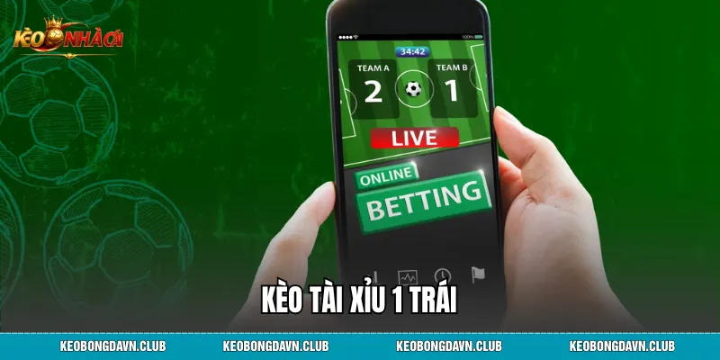 Kèo Tài Xỉu 1 Trái - Cách Đọc, Tính Tiền Và Kinh Nghiệm