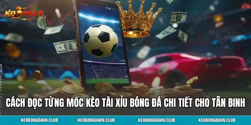 Cách đọc từng mốc kèo tài xỉu bóng đá chi tiết cho tân binh