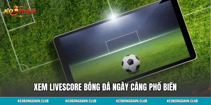 Xem livescore bóng đá ngày càng phổ biến