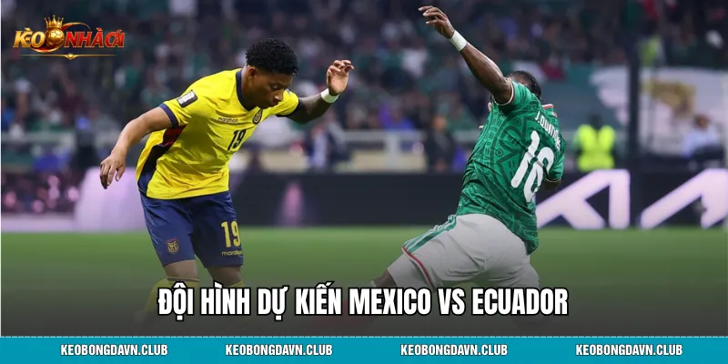 Đội hình dự kiến Mexico vs Ecuador