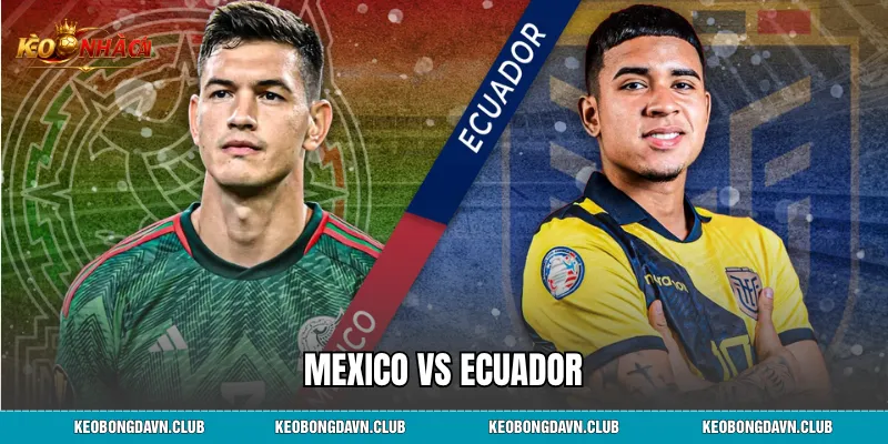 Mexico vs Ecuador - Nhận Định Trận Đấu, Phong Độ Chính Xác