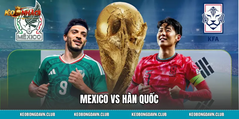 Mexico vs Hàn Quốc - Đội Hình Dự Kiến Và Dự Đoán Kết Quả