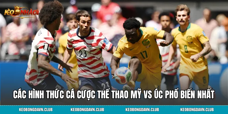 Các hình thức cá cược thể thao Mỹ vs Úc phổ biến nhất