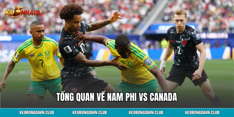Tổng quan về Nam Phi vs Canada