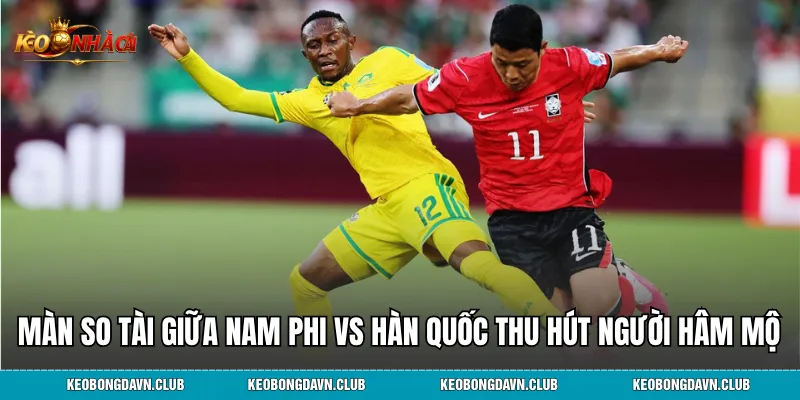 Màn so tài giữa Nam Phi vs Hàn Quốc thu hút người hâm mộ