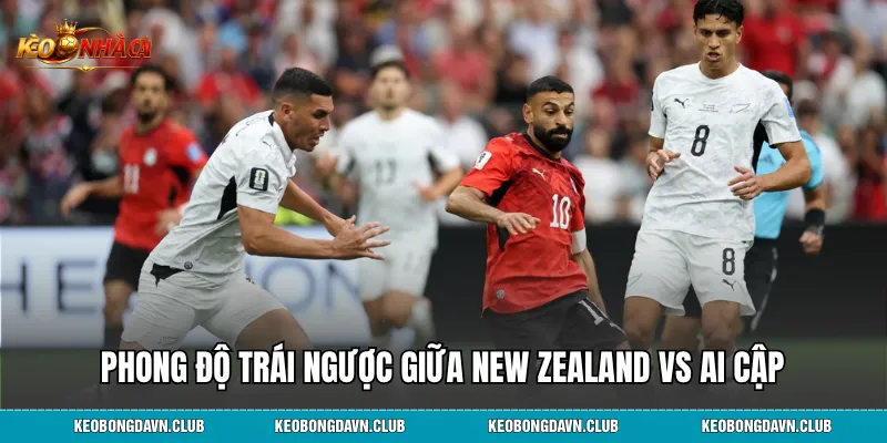 Phong độ trái ngược giữa New Zealand vs Ai Cập