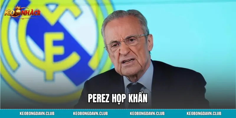 Perez Họp Khẩn: Toàn Cảnh Cuộc Khủng Hoảng Tại Real Madrid Và Những Quyết Sách Chiến Lược