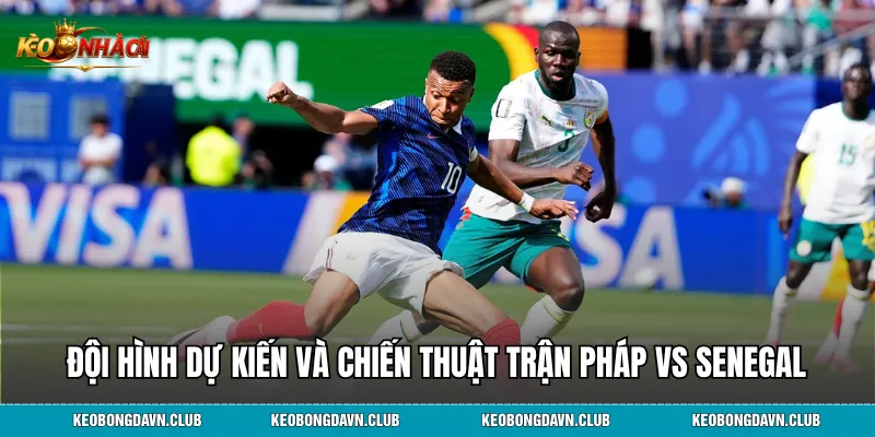 Đội hình dự kiến và chiến thuật trận Pháp vs Senegal