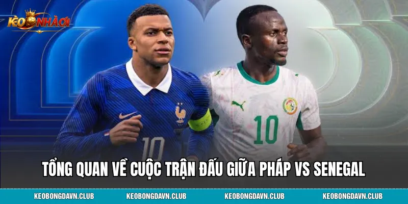Tổng quan về cuộc trận đấu giữa Pháp vs Senegal