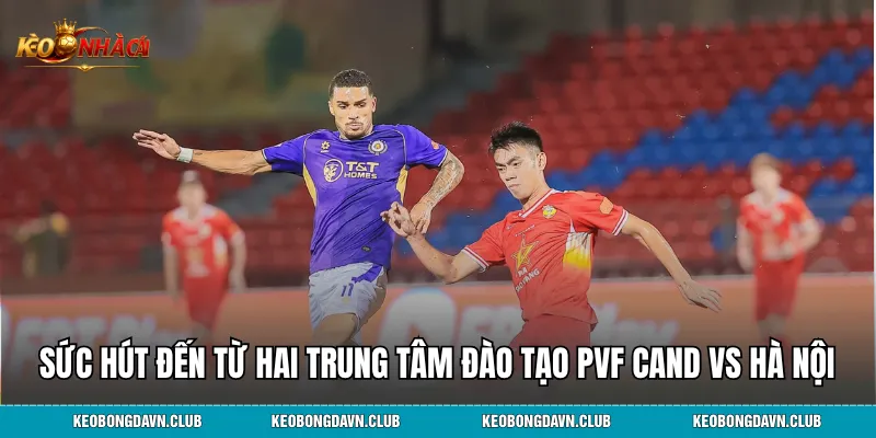 Sức hút đến từ hai trung tâm đào tạo PVF CAND vs Hà Nội