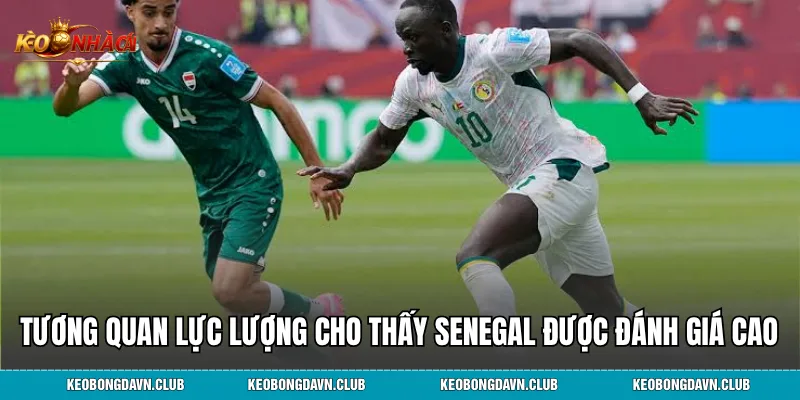 Tương quan lực lượng cho thấy Senegal được đánh giá cao hơn