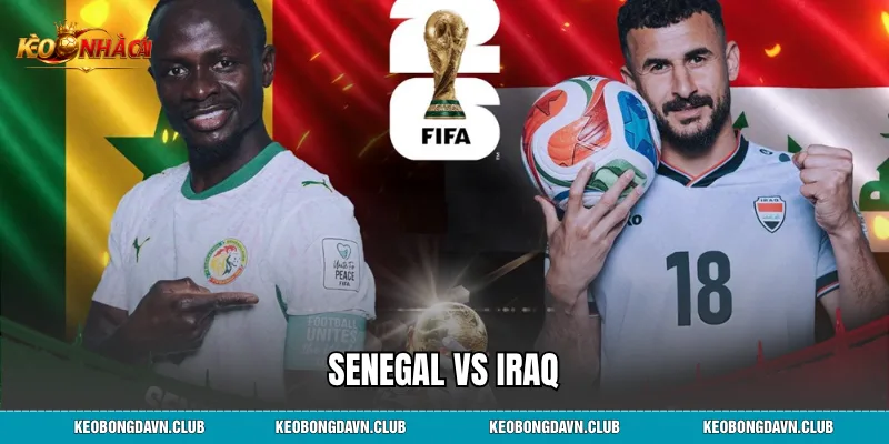 Senegal Vs Iraq Nhận Định, Phân Tích Lực Lượng Hàng Đầu
