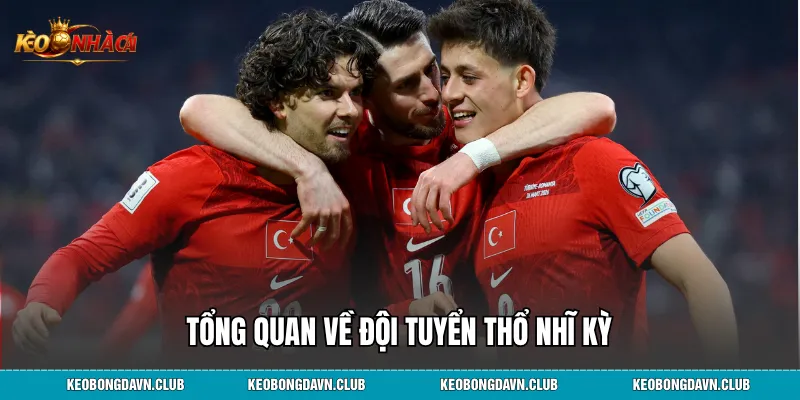 Tổng quan về đội tuyển Thổ Nhĩ Kỳ