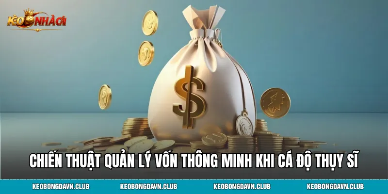 Chiến thuật quản lý vốn thông minh khi cá độ Thụy Sĩ